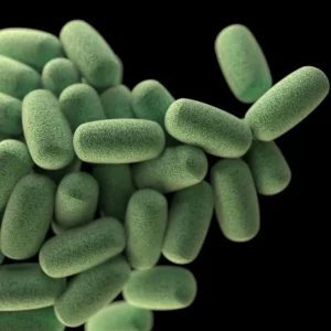 CURSO INTENSIVO DE MICROBIOTA APLICADA A FERTILIDAD Y REPRODUCCIÓN ASISTIDA