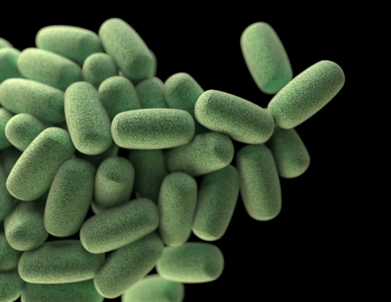 Curso intensivo de microbiota aplicada a fertilidad y reproducción asistida.