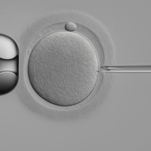 Certificación en ICSI 4 Embryologists