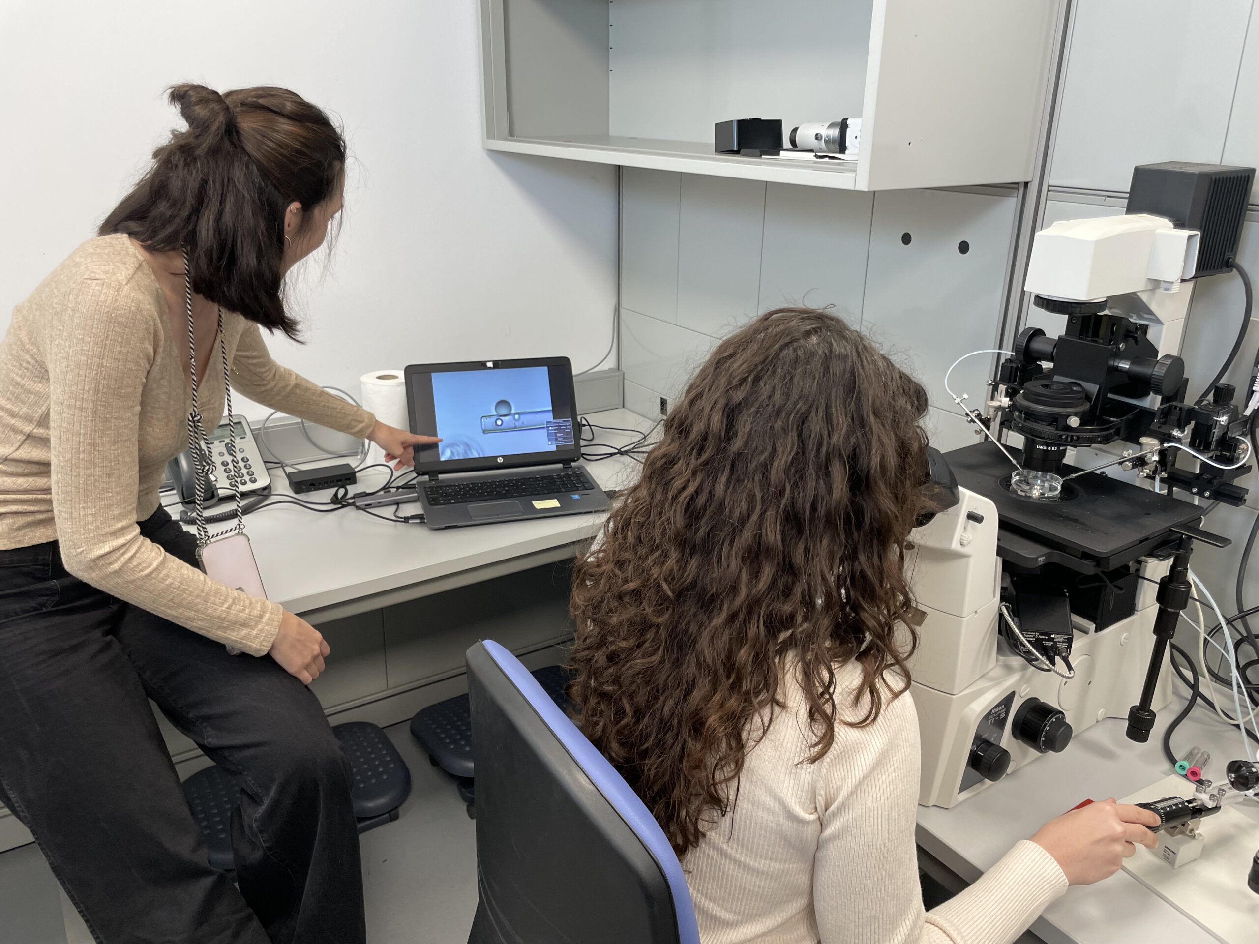 Curso práctico de biopsia embrionaria en blastocisto y tubing para PGT