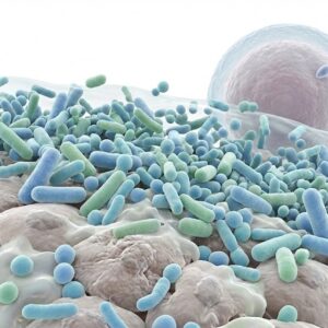 CURSO INTENSIVO DE MICROBIOTA APLICADA A FERTILIDAD Y REPRODUCCIÓN ASISTIDA