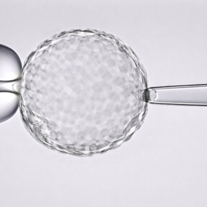 Certificación en Biopsia Embrionaria 4 Embryologists